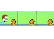 Flash loop 1017