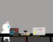 Flash loop 1121
