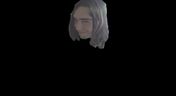 Flash loop 1129