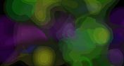Flash loop 1320