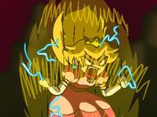 Flash loop 135