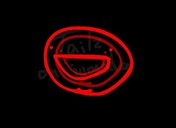 Flash loop 13