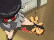 Flash loop 184