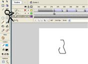 Flash loop 1901