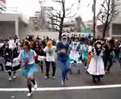 Flash loop 2011