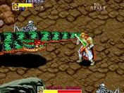 Flash loop 2230