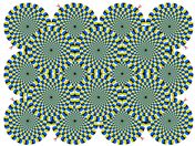 Flash loop 22