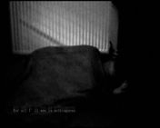 Flash loop 2455