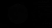 Flash loop 2875