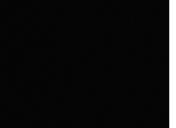 Flash loop 3031