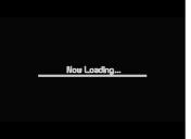 Flash loop 3076
