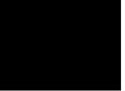 Flash loop 3082