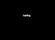 Flash loop 3132