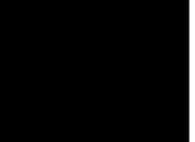 Flash loop 3170