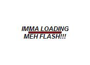 Flash loop 3270