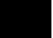 Flash loop 3444