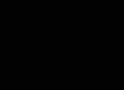 Flash loop 3701