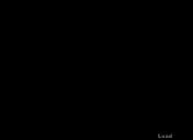 Flash loop 3913