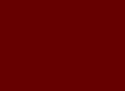 Flash loop 3940
