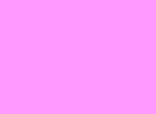 Flash loop 3944