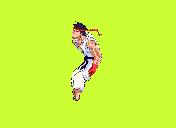 Flash loop 4171