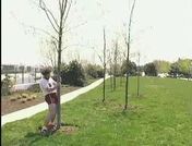Flash loop 439