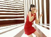 Flash loop 4481