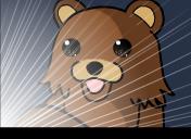 Flash loop 4562