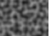 Flash loop 4750