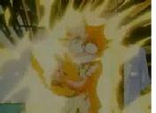 Flash loop 4806