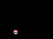 Flash loop 4895
