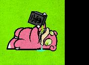 Flash loop 4963