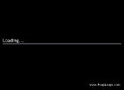 Flash loop 4970