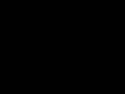 Flash loop 5318